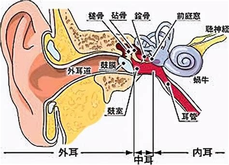 頭轉動耳朵有聲音